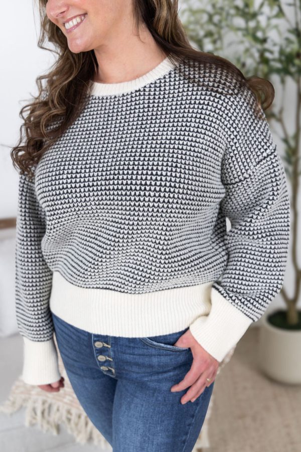 PREBOOK Charlotte Sweater - Black and Cream Online Sale - Image 5